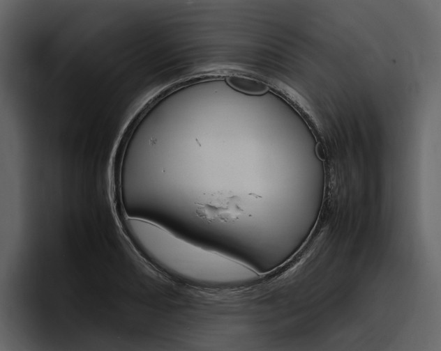 X0000097481082200802220816