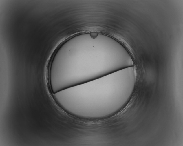 X0000097481083200802220816