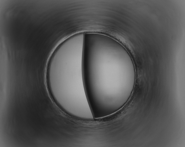 X0000097481085200802220816