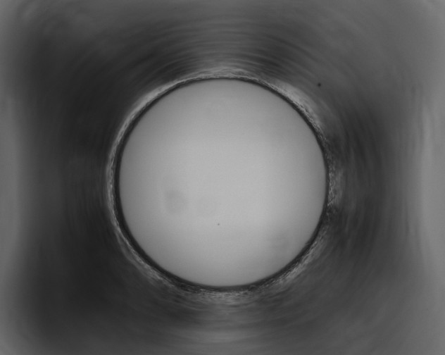 X0000097481086200802220816