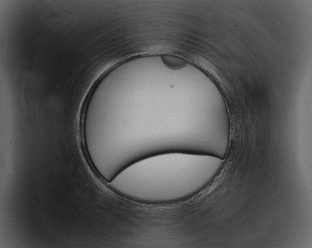 X0000097481087200802220816