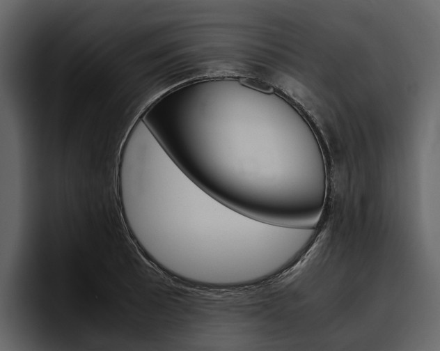 X0000097481089200802220816