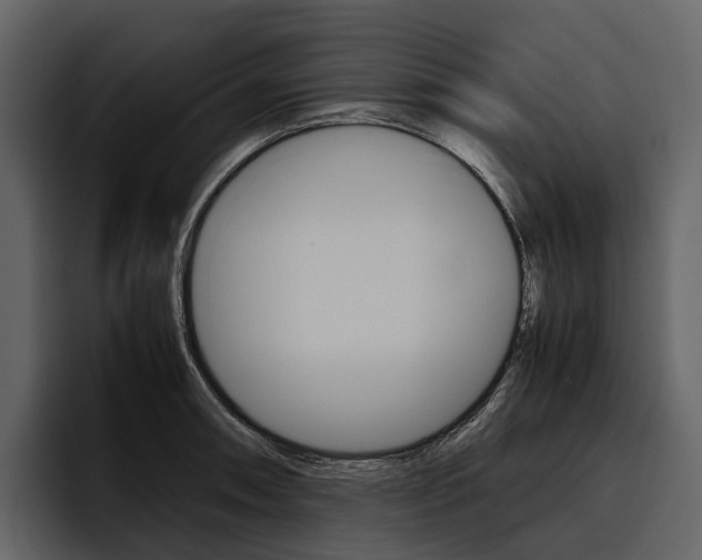X0000097481090200802220816