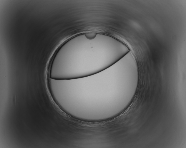 X0000097481091200802220816