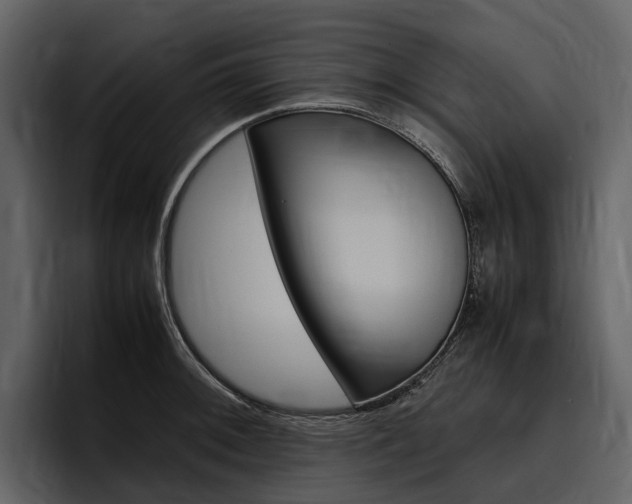 X0000097481092200802220816