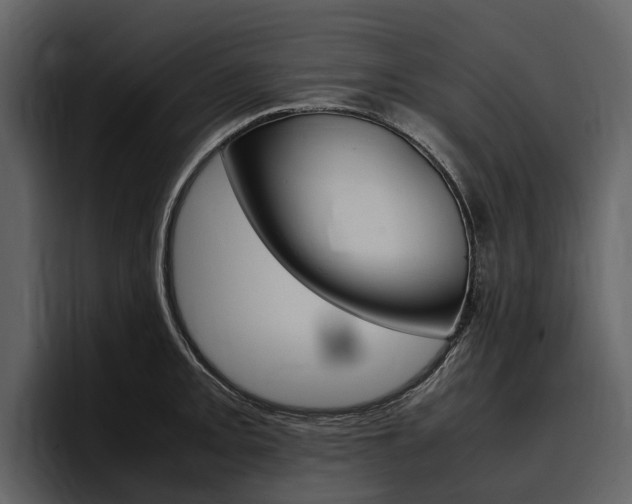 X0000097481093200802220816