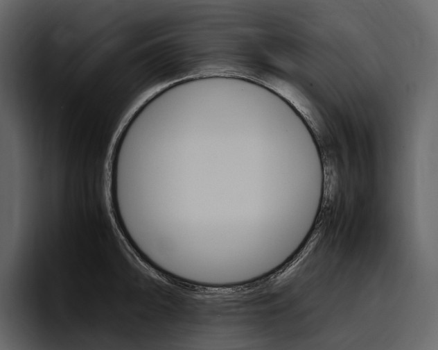 X0000097481094200802220816