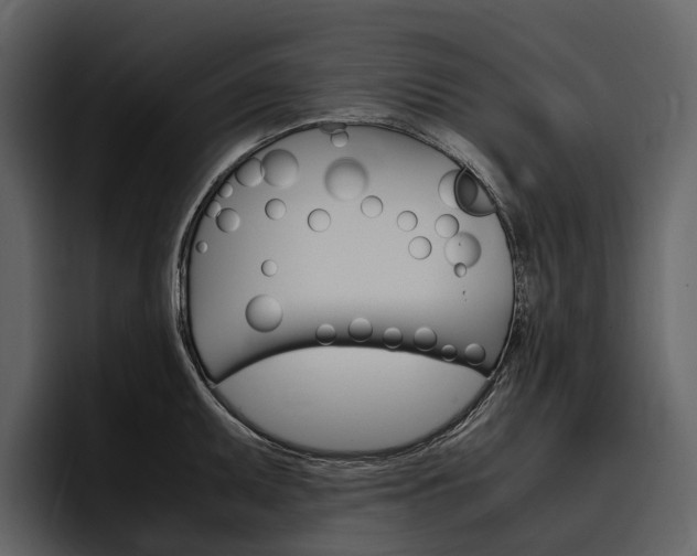 X0000097481095200802220816