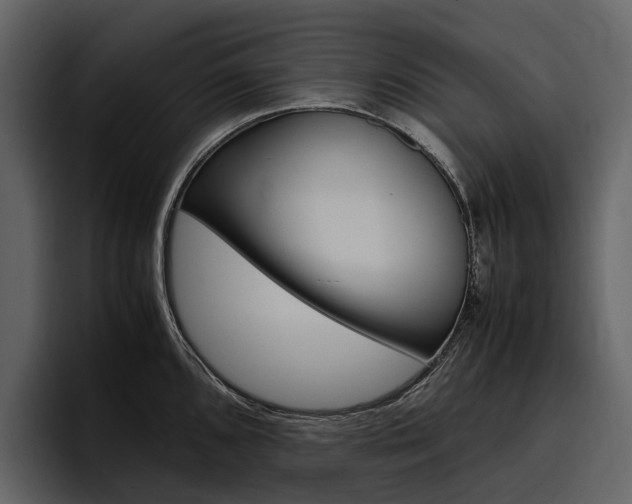 X0000097481096200802220816