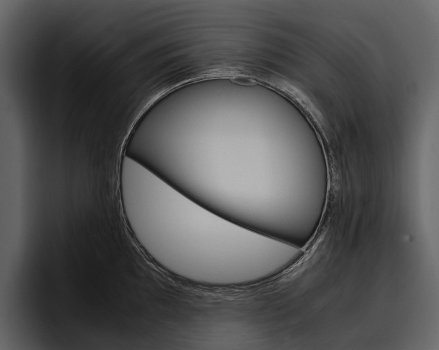 X0000097481097200802220816