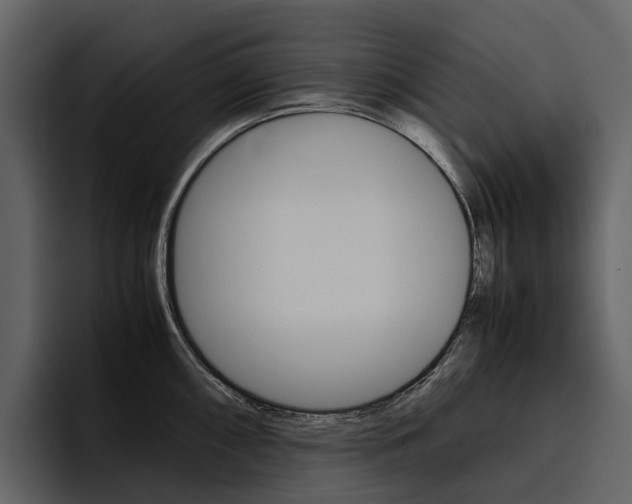 X0000097481098200802220816