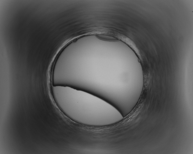 X0000097481099200802220815