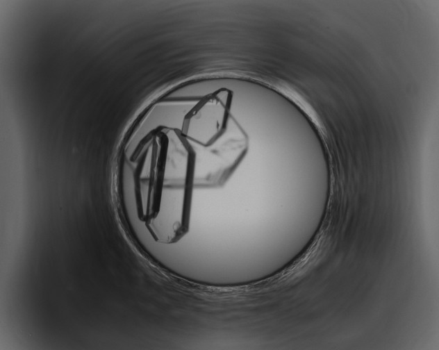 X0000097481101200802220815