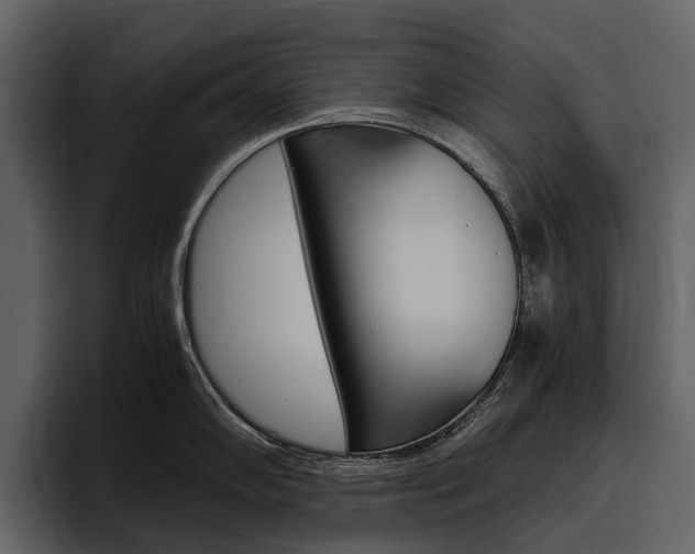 X0000097481102200802220815
