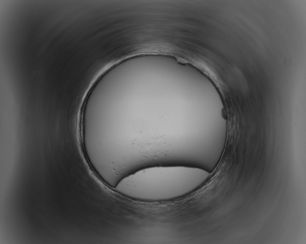 X0000097481103200802220815