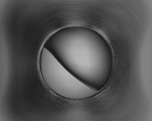 X0000097481104200802220815