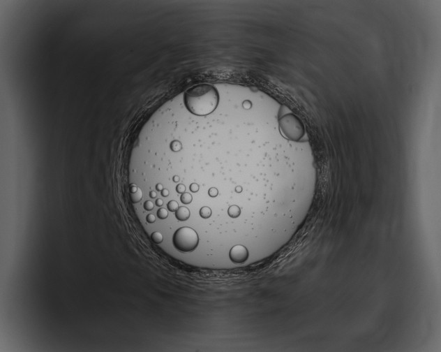 X0000097481105200802220815