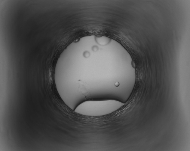 X0000097481106200802220815