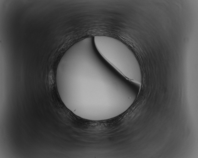 X0000097481107200802220815