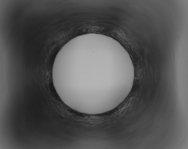 X0000097481109200802220815