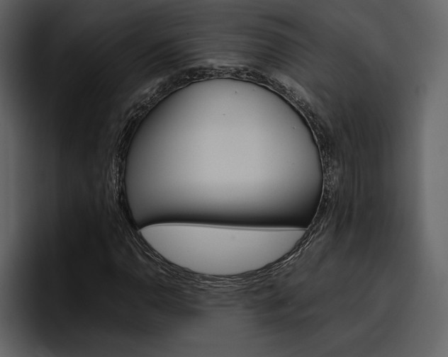 X0000097481110200802220815