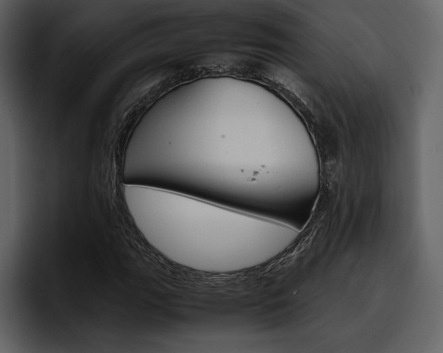 X0000097481111200802220815