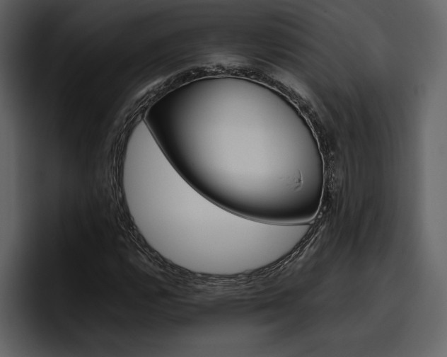 X0000097481112200802220815
