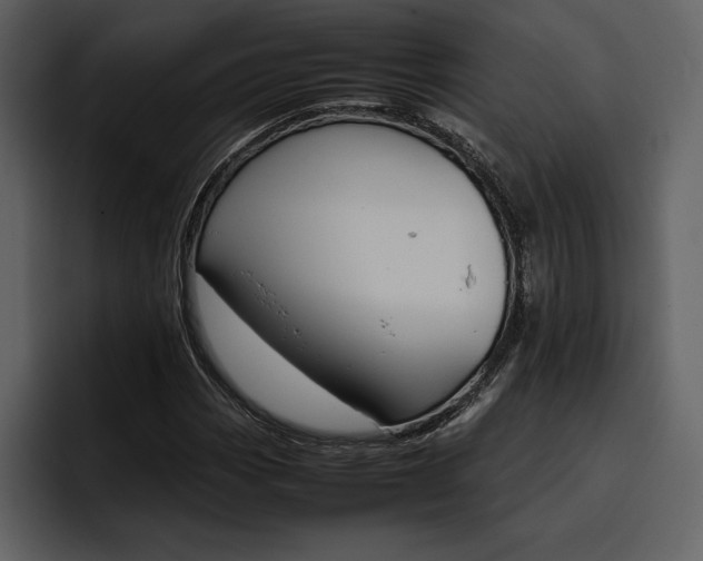 X0000097481113200802220815