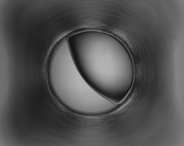 X0000097481114200802220815