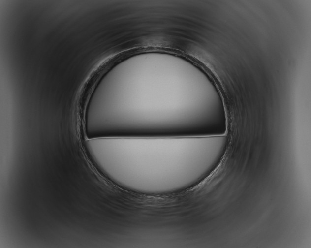 X0000097481115200802220815