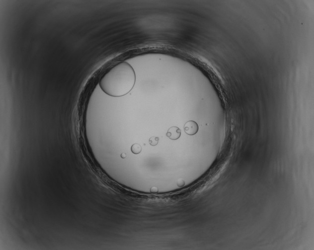 X0000097481117200802220815