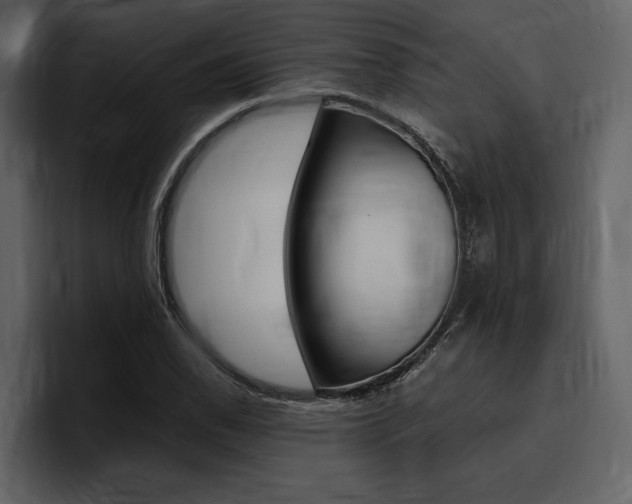 X0000097481118200802220815