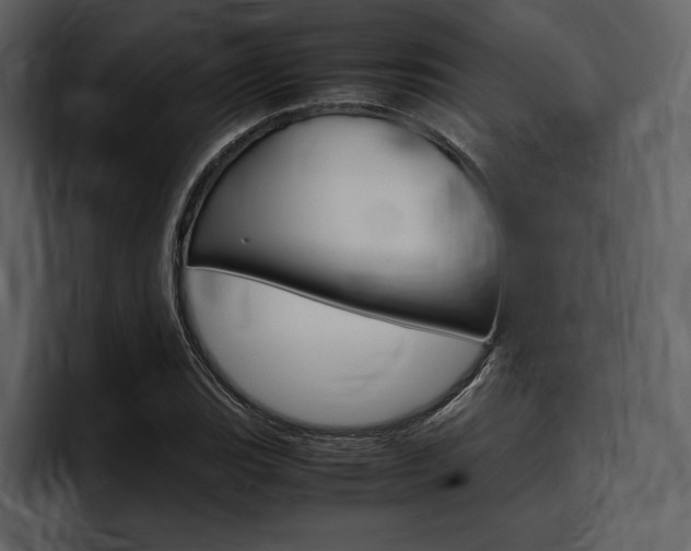 X0000097481119200802220815