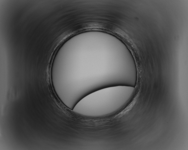 X0000097481121200802220815