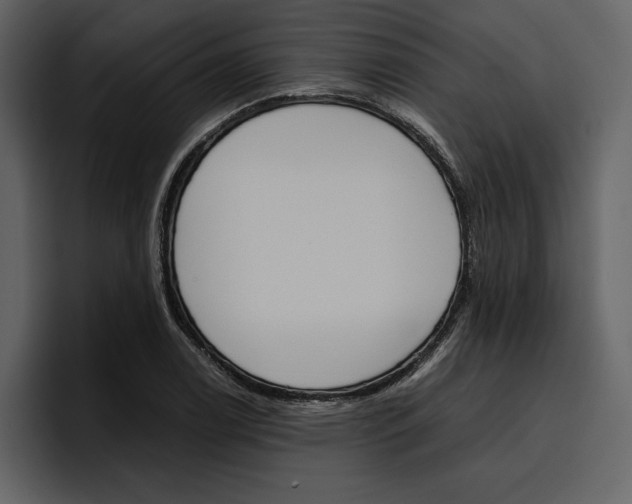 X0000097481122200802220815