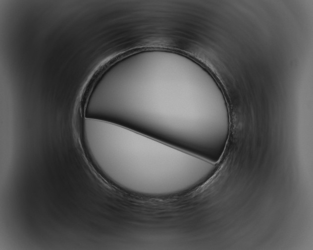 X0000097481123200802220815