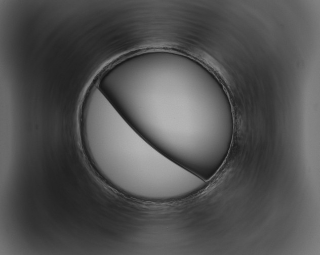 X0000097481124200802220815