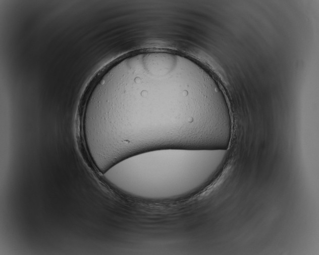 X0000097481125200802220815