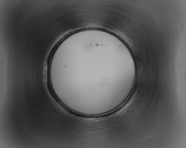 X0000097481126200802220815