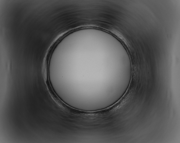 X0000097481127200802220815