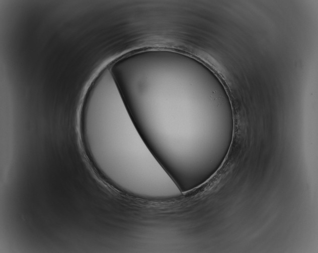X0000097481128200802220815