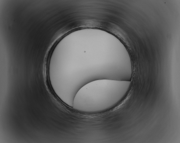 X0000097481130200802220815
