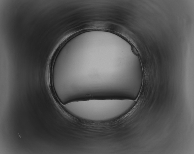 X0000097481131200802220815