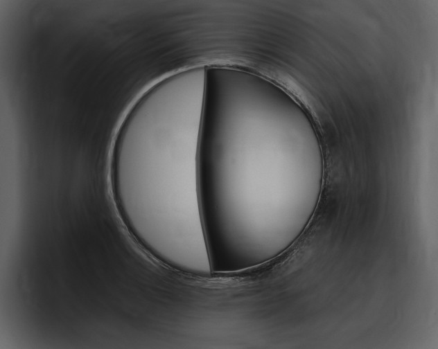 X0000097481132200802220815