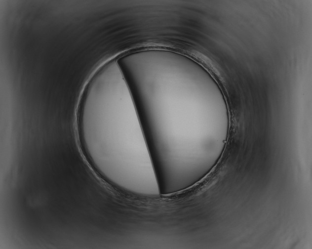 X0000097481133200802220815