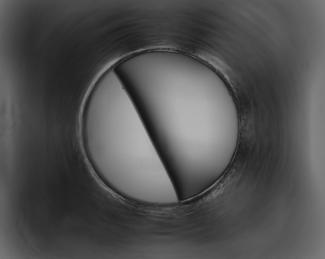 X0000097481135200802220815