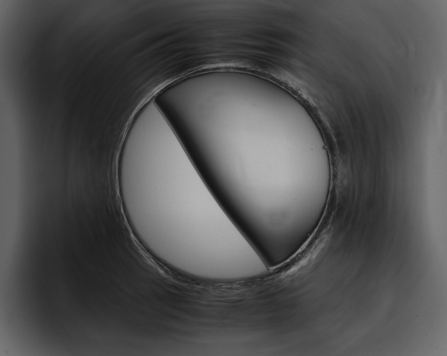 X0000097481137200802220815