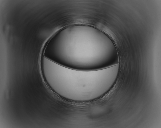X0000097481138200802220815