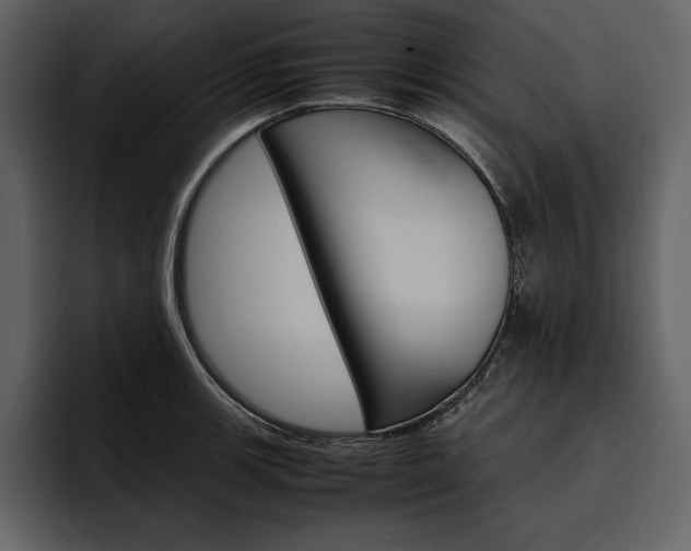 X0000097481139200802220815