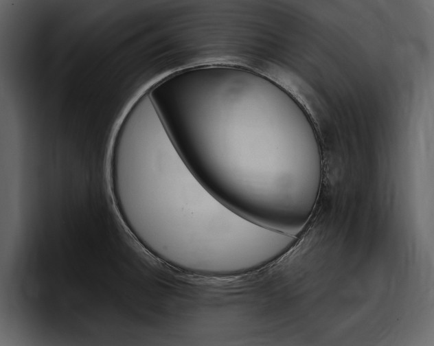 X0000097481140200802220815